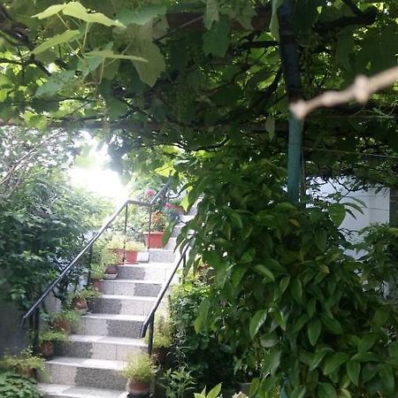 Hotel Свети Никола Sinemorec Zewnętrze zdjęcie